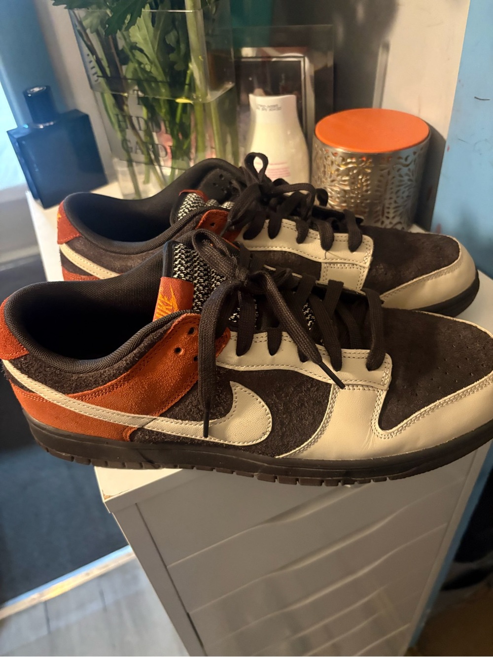 Nike Men’s Dunk Low — Red Panda shoes